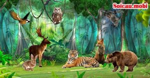 Bảng số đề theo con vật tổng hợp nhất